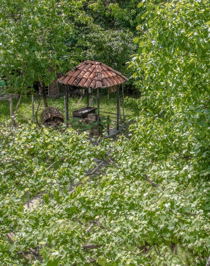 Qilimcha'S Guesthouse-Art Museum Tel Avi Exterior foto